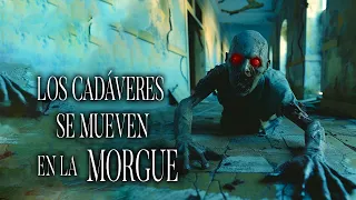 Los Cadáveres Malditos De La Morgue Historias De Terror - REDE