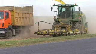 уборка кукурузы на силос. в трудных погодных условиях