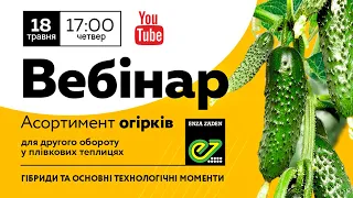 ВЕБІНАР: АСОРТИМЕНТ ОГІРКІВ ДЛЯ ДРУГОГО ОБОРОТУ У ПЛІВКОВИХ ТЕПЛИЦЯХ