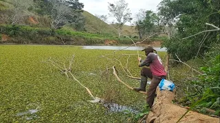 Aqui esconde peixe grande, não acredito que consegui fisgar essa gigante!