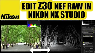 NIKON NX STUDIO TUTORIAL AND EDITING NIKON Z30 NEF RAW PHOTO...