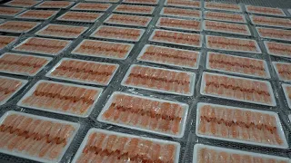 Sushi Ebi Processing Line