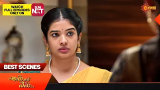 Anu Ane Nenu - Best Scenes | 24 April 2024 | Gemini TV Serial