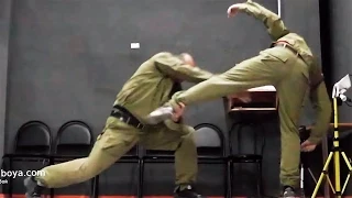 Feet functioning. Controlling. The Kicks. Plastoon martial art, fighting system of Leonid Polezhaev.