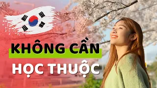 Học tiếng Hàn | Ghi nhớ TẤT CẢ từ vựng KHÔNG CẦN HỌC THUỘC