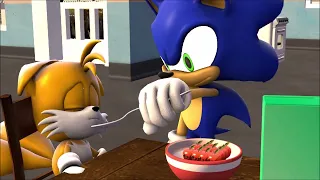 Tails’ First Walmart Trip and Sonic Kills Tails (Sonic SFM)