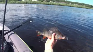 Ловля судака и сома с каяка. Мозырь, река Припять.