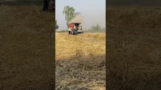Swaraj 969 tractor / straw reaper/  #swaraj #2023 #farming
