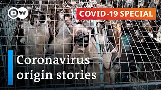 Where did the coronavirus come from? | COVID-19 Special