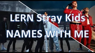 LEARN Stray Kids NAMES (How to hold them apart) + QUIZ