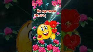 От меня Тебе привет !!!🌹❤️