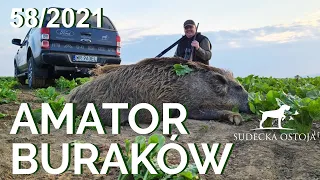 SUDECKA OSTOJA 58/2021. Hunting wild boars in Poland.