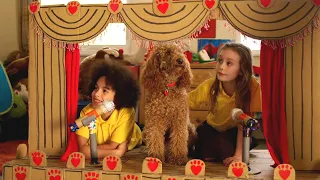 Waffle's Practice Run | Waffle the Wonderdog | Live Action Videos for Kids | WildBrain Zigzag