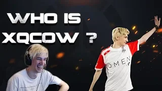 xQc Reacts to 'Who is xQcOW?' by Mintino Gaming | xQcOW