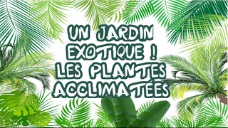 " Un jardin exotique ! Les plantes acclimatées "  😉🌴🦊