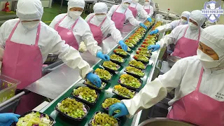 압도적인 규모와 정성! 5색 나물 비빔밥과 건강 샐러드 / Korean lunch box factory