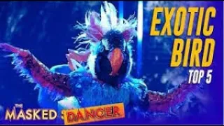 The Masked Dancer Exotic Bird "Top Five - Mask the Night Away!" performance  reaction and review