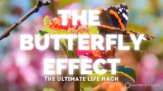 Mastering Your Destiny with the Butterfly Effect: The Ultimate Life Hack / Maitreya Reiki™