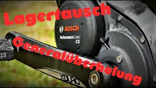 Bosch Performance CX //Lagertausch//Generalüberholung statt neuem Motor// Instandsetzung