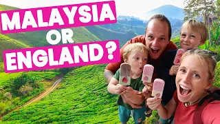 IS MALAYSIA LIKE ENGLAND ?? | THE CAMERON HIGHLANDS (Episode 35)