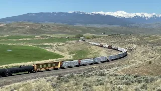 Long Union Pacific Mixed Manifest Climbs Grade near Baker City, OR 5/13/2023