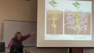 Mycorrhizal Colonization of Cover Soils