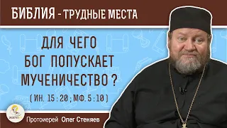 Для чего Бог попускает мученичество ? (Ин.15:20;  Мф. 5:10)   Протоиерей Олег Стеняев