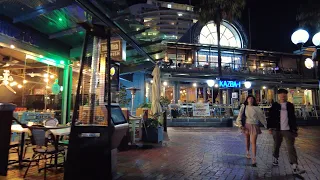 Sydney Darling Harbour Night Walk