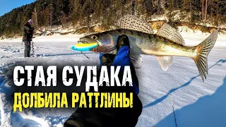 Стая судака на вибы. Подъемы на эхолоте Практик 6м. Крушение дрона.