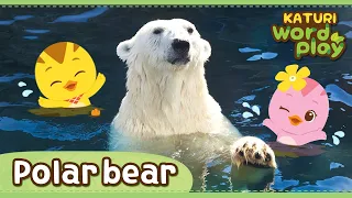 * Polar Bear * | Katuri Word Play | Learn Animals | Animals for kids to learn