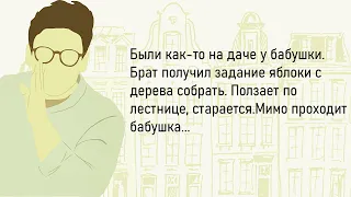 🏠Сборник Новых Смешных Историй Из Жизни,Для Супер Настроения На Весь День!