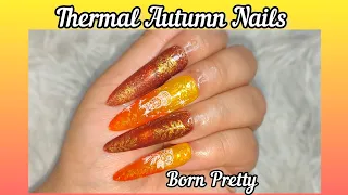 Thermal Autumn Nails 🍁 @bornprettyofficial #nails #explore #bornpretty #cateyegel #thermalnails