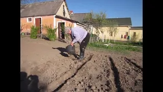 Переселені вивчають захід України. Посівна продовжується!