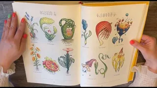 Книга, которую невозможно прочитать | Codex Seraphinianus (Кодекс Серафини)