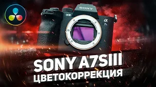 ВЗГЛЯД КОЛОРИСТА НА SONY A7SIII | Динамический Диапазон | Cкинтон