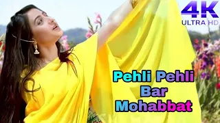 Pehli Pehli Baar Mohabbat Ki Hai|4k Video 60fps Full Video Songs |Sirf Tum|Sanjay Kapoor ,Priya Gill