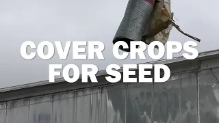 Cover Crops for Seed