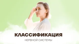 НЕРВНАЯ СИСТЕМА | КЛАССИФИКАЦИЯ | ЗАДАНИЕ 17 | ОГЭ БИОЛОГИЯ 2021