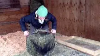 How to fill a medium sized Handy Hay Net.