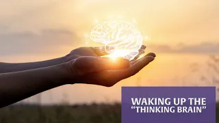 Waking Up the “Thinking Brain” | Dr. Janina Fisher