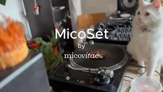 This Co. · Disco & Funky House · ((MicoSet))