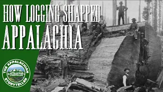 How logging shaped Appalachia #appalachia #appalachianmountains #appalachian #logging