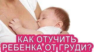 Как отучить ребенка от груди? Мой опыт завершения ГВ или третья лактация! + СОВЕТЫ