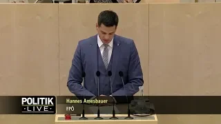 Hannes Amesbauer - ORF (RH-Bericht) - 25.4.2019