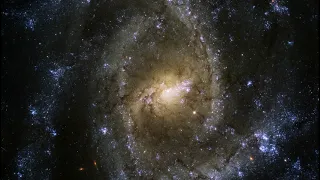 Classroom Aid - NGC 2835