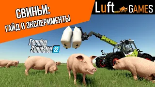 Свиньи: подробный гайд | Farming Simulator 22