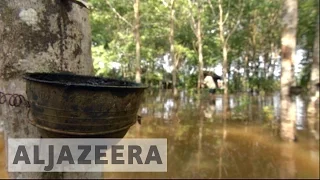 Devastating floods hit hard Thailand's rubber industry