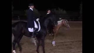 east meets west reining vs dressage