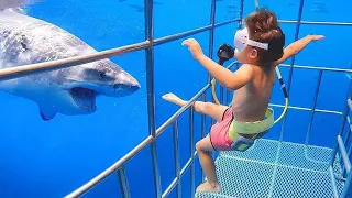 Baby Shark Doo Doo Zoo Babies - TRY NOT TO LAUGH - Funniest Home Videos 2020