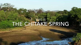 Chitake Springs | Mana Pools | Zimbabwe